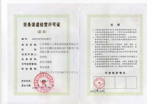 社保繳納類型詳解 個人與公司社保的險種差異及互聯網信息服務