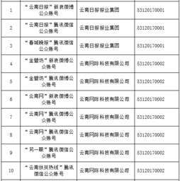 云南信息報(bào)旗下六產(chǎn)品獲首批互聯(lián)網(wǎng)新聞信息服務(wù)許可，賦能區(qū)域信息服務(wù)新格局